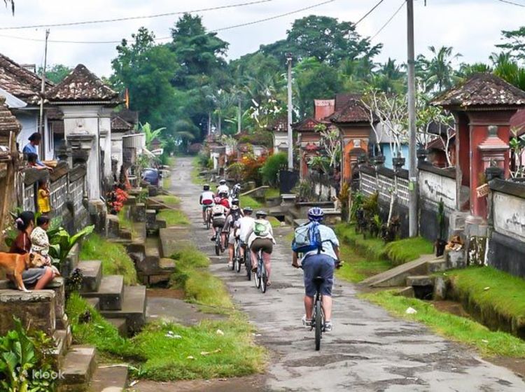 Cycling Excellent Bali Tours